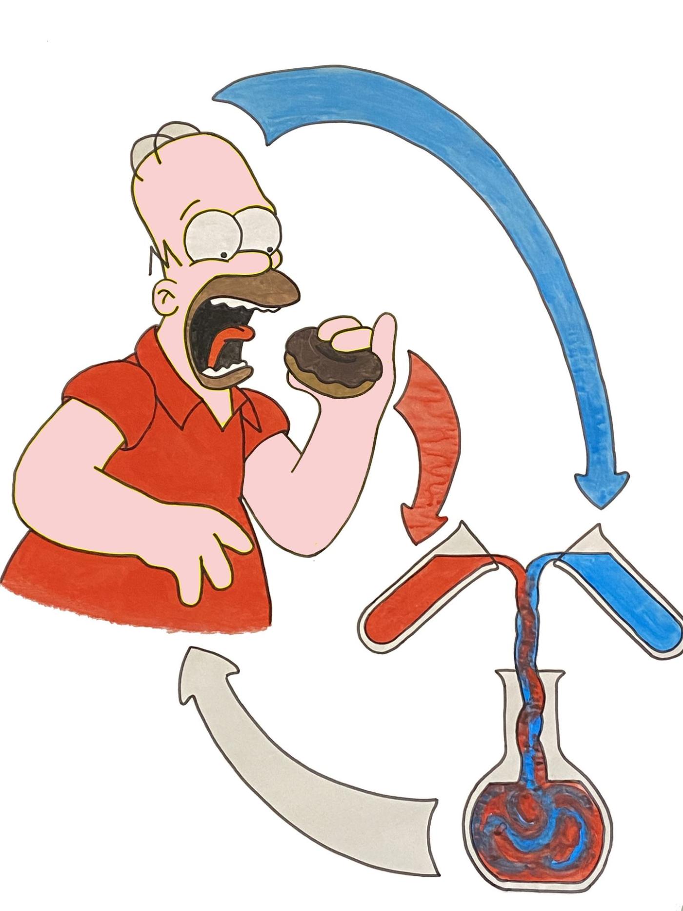 Illustration der Übersäuerung bei Herrn Rot